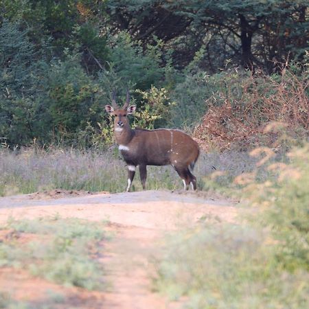 Ngangane Lodge & Reserve Франсистаун Экстерьер фото