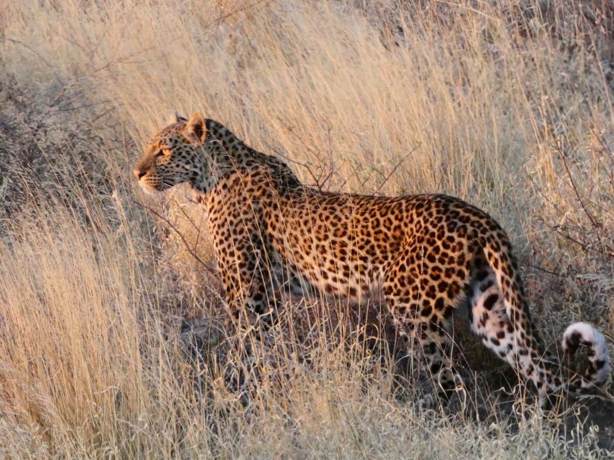 Ngangane Lodge & Reserve Франсистаун Экстерьер фото
