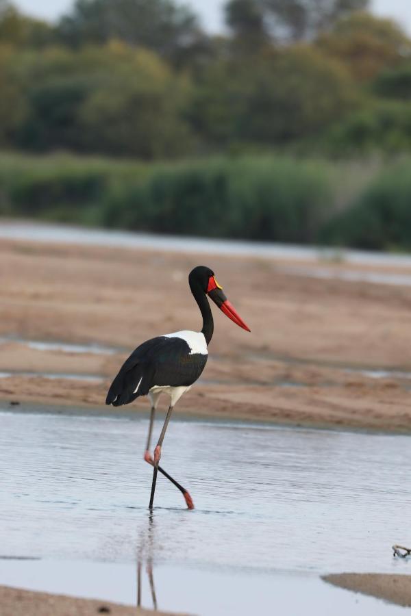 Ngangane Lodge & Reserve Франсистаун Экстерьер фото