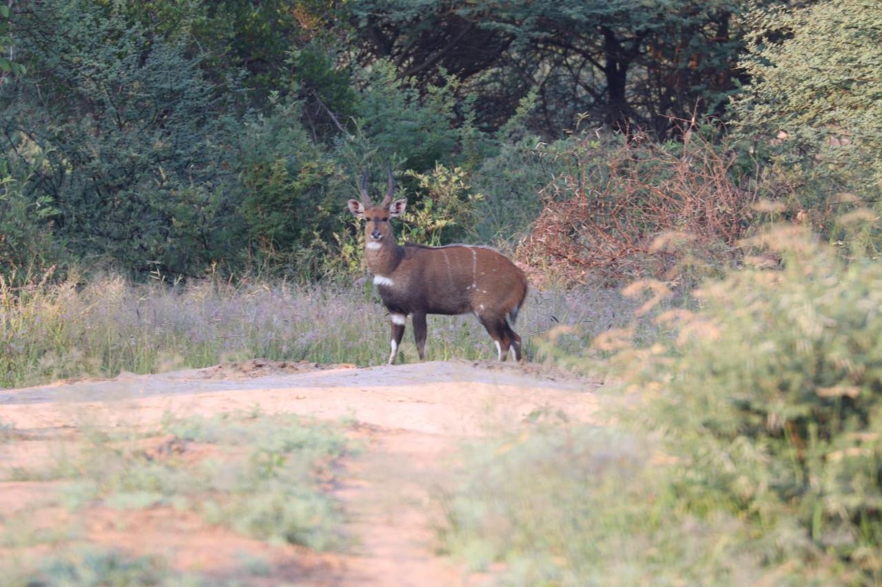 Ngangane Lodge & Reserve Франсистаун Экстерьер фото