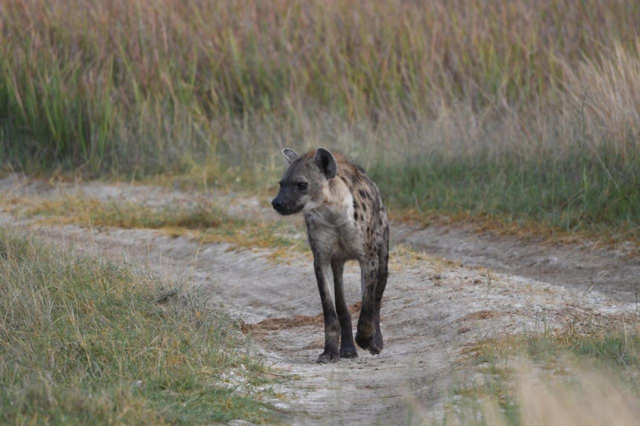 Ngangane Lodge & Reserve Франсистаун Экстерьер фото
