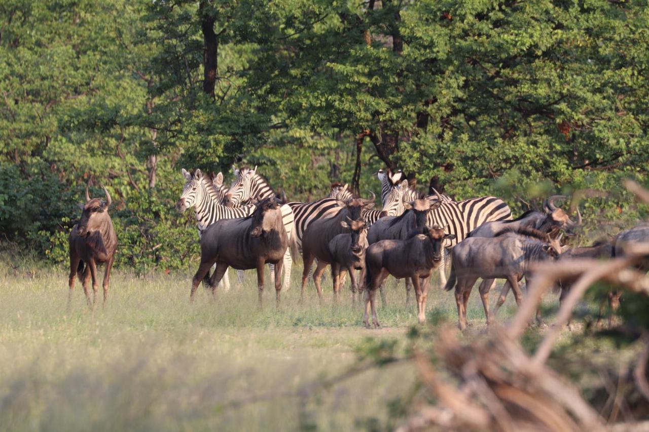 Ngangane Lodge & Reserve Франсистаун Экстерьер фото