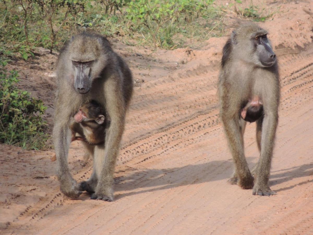 Ngangane Lodge & Reserve Франсистаун Экстерьер фото