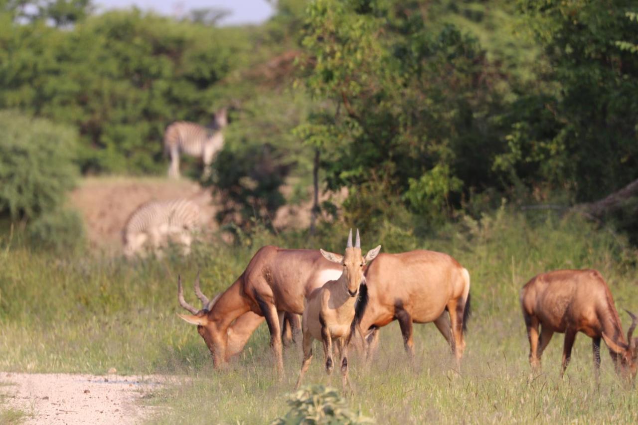 Ngangane Lodge & Reserve Франсистаун Экстерьер фото