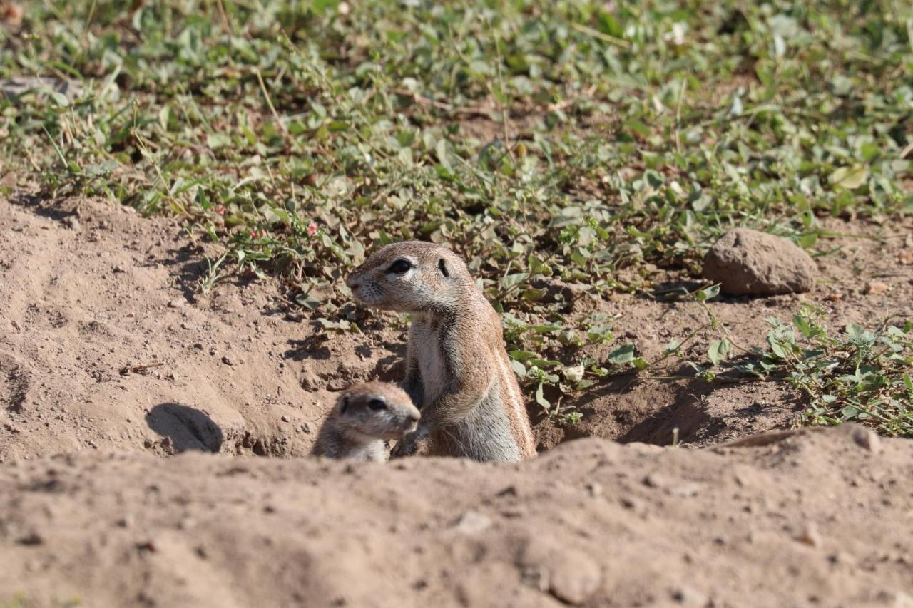Ngangane Lodge & Reserve Франсистаун Экстерьер фото
