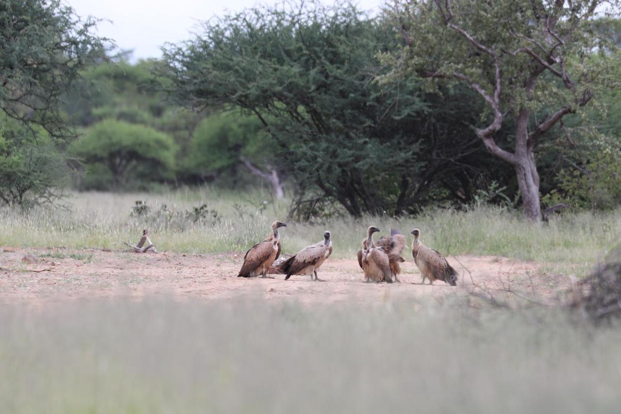 Ngangane Lodge & Reserve Франсистаун Экстерьер фото