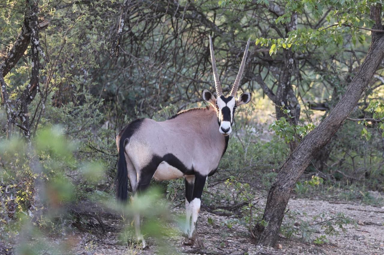 Ngangane Lodge & Reserve Франсистаун Экстерьер фото